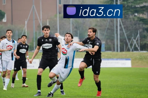 米兰app网页版登录入口发展历程